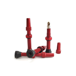 High Performance Bicycle Accessories 55mm Aluminum Alloy Round <b>Valve</b> with Rubber Base <b>Tubeless</b> Bike Components - Product Image 3