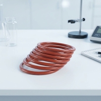 Joint torique haute performance en PTFE encapsulé avec noyau FKM, taille personnalisée, résistant à la corrosion chimique