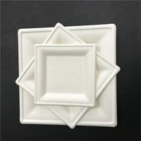Assiette carrée jetable de haute qualité de 10 pouces plateau à gâteau cartons de bonne qualité sucre bagasse boîte à lunch jetable