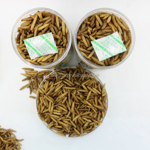 Alta proteína 10 lbs larvas de mosca de soldado negro secas a granel <span class=keywords><strong>BSF</strong></span> seco para pollo con embalaje de etiqueta privada personalizado - Product Image 3