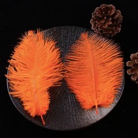 Plumes d'autruche roses moelleuses de haute qualité de 15-20 cm (6-8 pouces) pour décorations de fête, motif teinté