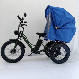 Vehículo de Transporte, Bicicleta de 3 Ruedas 2024, Triciclo con Neumáticos Anchos y Toldo - Product Image 5