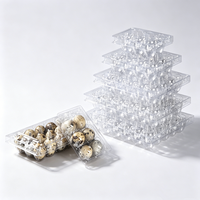 Boîte d'emballage jetable en plastique PET transparent pour œufs de caille, plateau en plastique transparent à 6, 8, 10, 12, 15, 18, 20, 24, 30 alvéoles pour œufs de caille géants
