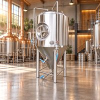 Cuve de fermentation de bière à vapeur, électrique, à gaz, à flamme directe, en SUS304, 100-5000L, avec chemise à plaques alvéolées de 3mm, pour brasserie, 380KG