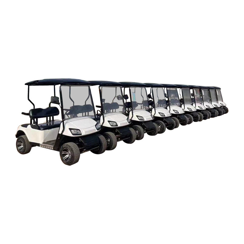 Sharefer Club Golf Cart Custom Electric