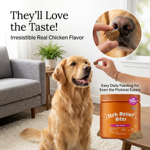 Suplementos <span class=keywords><strong>para</strong></span> Perros <span class=keywords><strong>para</strong></span> Aliviar <span class=keywords><strong>Alergias</strong></span> Estacionales, Apoyo al Sistema Inmunológico, Salud Intestinal, Masticables Suaves Orgánicos y Naturales con Probióticos y <span class=keywords><strong>Zinc</strong></span> - Product Image 5