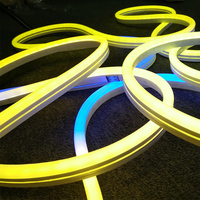 Lampu disko langit-langit ruang Game, lampu Strip Neon fleksibel tabung Neon DMX RGB