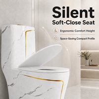WC monobloc mat à chasse d'eau silencieuse, design contemporain et luxueux, en ABS coloré, économie d'eau, abattant à fermeture douce, pour hôtel