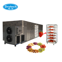 Déshydrateur de fruits industriel multifonctionnel à installation facile pour avocat, fraise, prune