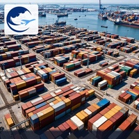 Transport de conteneurs porte-à-porte de Guangzhou aux Pays-Bas avec service de suivi et solution logistique