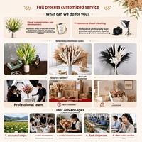 Buket Kecil Rumput Pampas Alami Buatan Tangan Dekorasi Bunga Kering Minimalis Modern Dekorasi Rumah Rangkaian Pernikahan