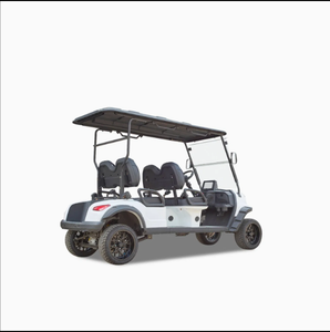 Carrito de Golf Eléctrico Winner-Gc 2s con Velocidad de 24 km/h y Capacidad de Carga de 300 kg para Transporte Marítimo - Product Image 5