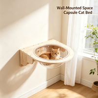 Lit pour chat en acrylique transparent à fixation murale, cadre en bois, nid transparent pour chat, perchoir mural pour chat, accessoire pour arbre à chat