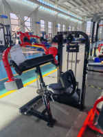 Vente directe usine : Équipement de musculation Rosen Fitness – Machine à charge par poulie pour extensions de triceps assises pour hommes
