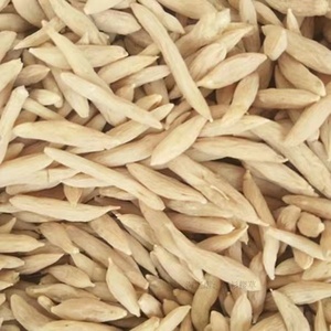 <span class=keywords><strong>อาหาร</strong></span><span class=keywords><strong>ญี่ปุ่น</strong></span>แบบดั้งเดิม Ophiopogon japonicus - Product Image 5