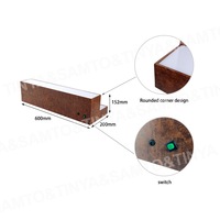 Rehausseurs de whisky en acrylique illuminés à couleur personnalisée Présentoir à 2 niveaux pour bouteilles de bière et de vin Présentoir pour discothèque et liqueur de whisky