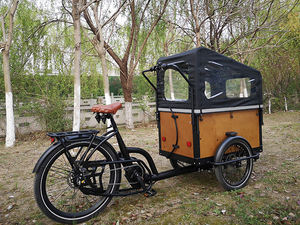 Tricycle à 7 vitesses et Tricycle électrique, livraison, vélo Cargo électrique, 3 roues, vélo Cargo électrique pour bébé - Product Image 3