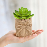 Mini-bonsaïs réalistes, plantes succulentes artificielles, cactus en pot