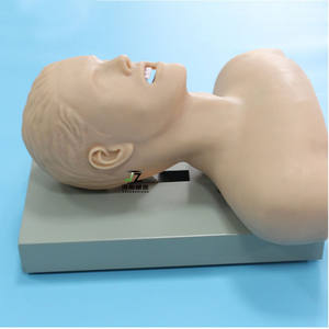 Simulador de Entrenamiento Multifuncional Avanzado en Ciencias Médicas para la Gestión de Vías Respiratorias de PVC, Maniquí de Entrenamiento de Intubación Traqueal de Medio Cuerpo - Product Image 3