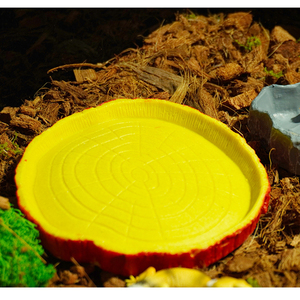 Décoration pour aquarium et terrarium de reptiles - Plateforme d'alimentation et abreuvoir décoratif - Product Image 3