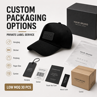 Casquette de baseball à 6 panneaux avec logo personnalisé, vente en gros, broderie en coton, faible MOQ, casquettes promotionnelles