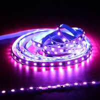 Tira De Luces Led Smd Ip67 5050 24v 5050 Smd Rgb Led Bande Ws2811 30 60 Led 5050 Bande Lumineuse