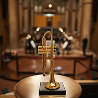 Professional Model Sanded Gold Plated Yellow Brass BB Trumpet with Imported Saturn Water Key