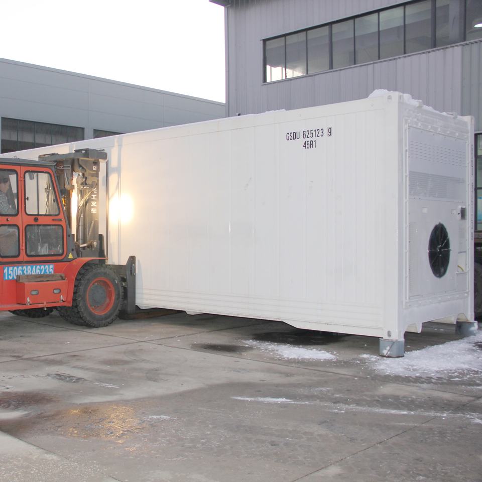 Controlled Atmosphere Reefer Container for Tropical Pulasan & Rambutan ...