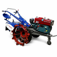 Motoculteur Agricon d'occasion, moteur 8 CV, deux roues, motoculteur à deux roues, pare-chocs renforcé, direction différentielle, usage intensif pour ferme et serre
