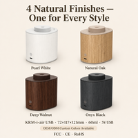 Diffuseur de voiture grande capacité pour huiles essentielles, sans eau, contrôle par application, électrique, USB, portable, luxe, aromathérapie, fonction minuterie, OEM