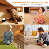 EBO Air Pet Bewegungs erkennungs kamera Roboter Katze Hund Mobile Nachtsicht kamera für Haustiere