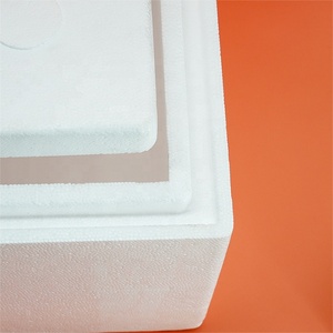 Hot bán bọt hộp mở rộng Polystyrene Giao thông vận tải hộp lạnh cách điện shipper hộp cho mẫu miễn phí - Product Image 3