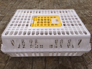 Kích Thước Lớn Sống Gia Cầm Lồng Vận Chuyển Thùng/Nhựa Sống Gà Lồng Vận Chuyển Thùng - Product Image 6