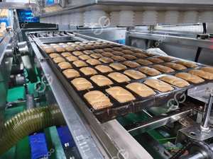 Máquina automática para hacer pasteles, mezcladora de acero inoxidable, sistema de refrigeración para depositador de horno y línea de envasado para planta de panadería - Product Image 3