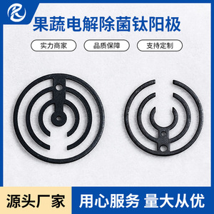 Ta1 Electrolytic Cell <b>Titanium</b> Anode Stainless Steel Eco-Friendly Water Treatment Equipment For Fruit Vegetable Sterilization - Product Image 2