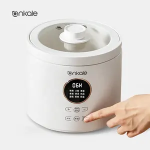 2024 nouveau design ankale mini cuiseur à riz/pot électrique/japonais/corée appareils ménagers cuisinière multifonction 2L avec pot en céramique