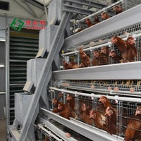 Prix Avantageux Système d'Élevage Cages de Poules Pondeuses Équipement Avicole pour Ferme de Poulets