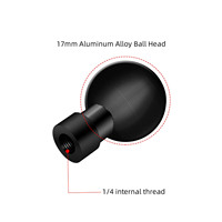 Support de tête sphérique 17mm 25mm à adaptateur de vis interne 1/4 "pour support de téléphone pour caméra d'action Insta360 Support de support GPS