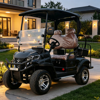 Voiturette de golf tout-terrain à 2 places, à suspension indépendante, avec cadre en aluminium OEM personnalisé