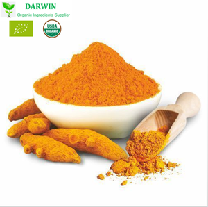 100% 순수 천연 유기농 투메르 뿌리 추출물/기수 curcumae 추출물 - Product Image 4