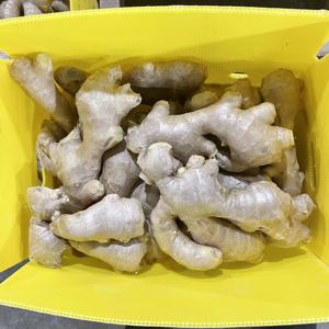 ג 'ינג' ר צהוב יבש מיובש מ סין מכירה חמה ג 'ינג' ר טרי - Product Image 4