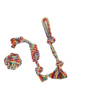 Jouet à mâcher durable en corde de coton arc-en-ciel pour chien avec nœuds, jouet de traction pour le nettoyage des dents des chiots