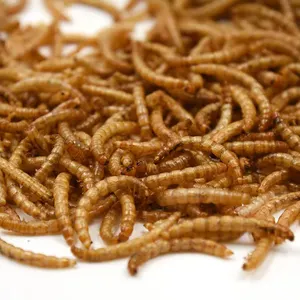 Grosir kualitas tinggi cacing Mealworm kering kuning, cacing makanan dapat dimakan untuk pakan hewan