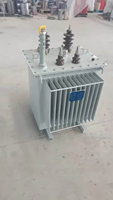 Transformateur immergé dans l'huile monophasé monté sur poteau de haute qualité, capacité 10-160 kVA, bobine toroïdale scellée, étanche à l'humidité, 50/60 Hz