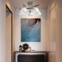 Lustre SkyCam de style traditionnel moderne E27 E26, lampe décorative, éclairage de plafond intérieur