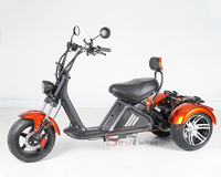 Citycoco 3 tekerlekler Citycoco 2000w Citycoco kıyıcı 60V 40AH pil elektrikli Scooter 3 tekerlekli üç tekerlekli bisiklet