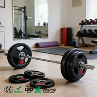 Plaque de poids de musculation en fonte de 20 kg (45 lb) personnalisée en usine pour usage commercial en salle de sport