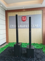 Sistema de Columnas de Sonido Profesional, Subwoofer, Altavoz Portátil, Amplificador de Potencia, Equipo de Audio T.I Pro Audio CE21 Line