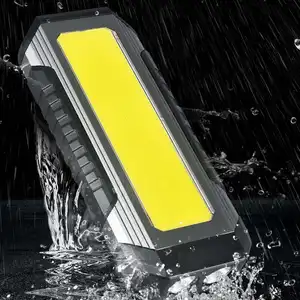 Work Lamp Hanging Type-C Rechargeable 1000Lumens Super Bright Inspection Professional Light Led Worklight