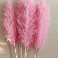 100% getrocknete konservierte Blumen & Pflanzen Natürliches Bleichmittel Große und kleine Pampa Big Reed für Haus hochzeits dekoration
